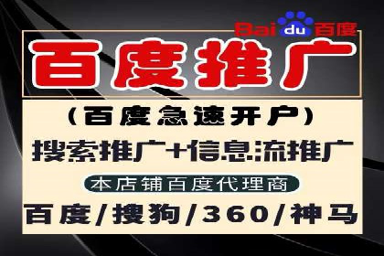 谷歌竞价广告与SEO结合的营销案例解析